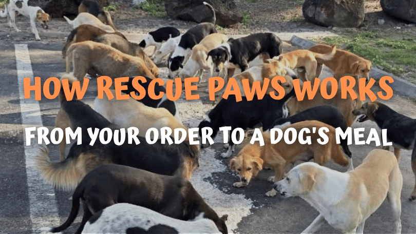 How Rescue Paws Works: From Your Order to a Dog's Meal