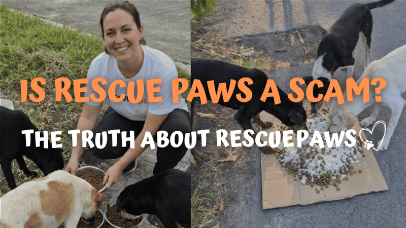 Is Rescue Paws a Scam? The Truth About The Rescue Paws