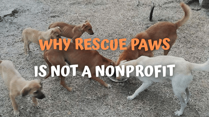 Why Rescue Paws Is Not a Nonprofit