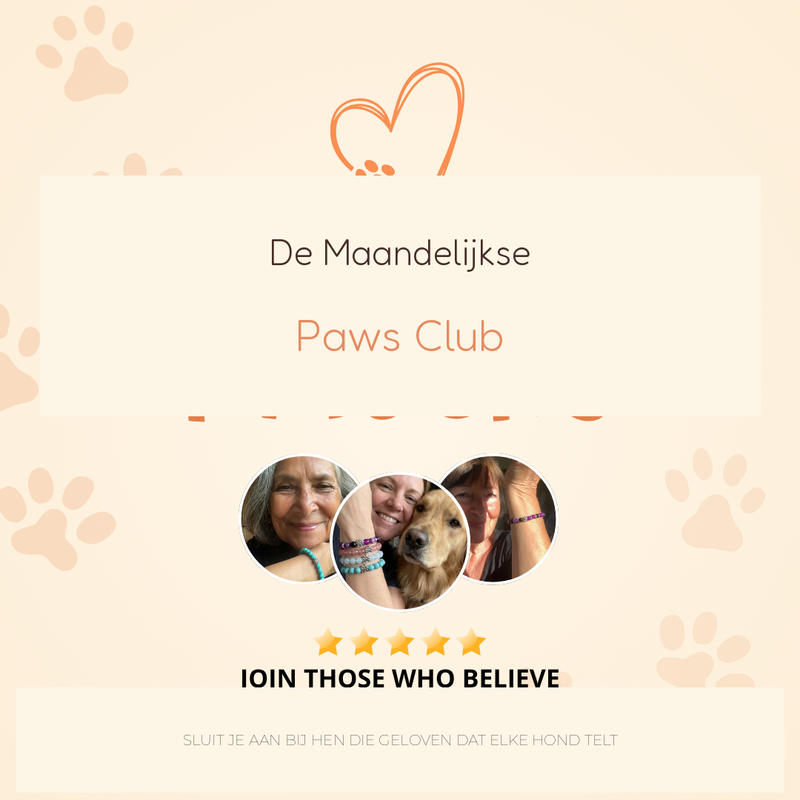Le Monthly Paws Club