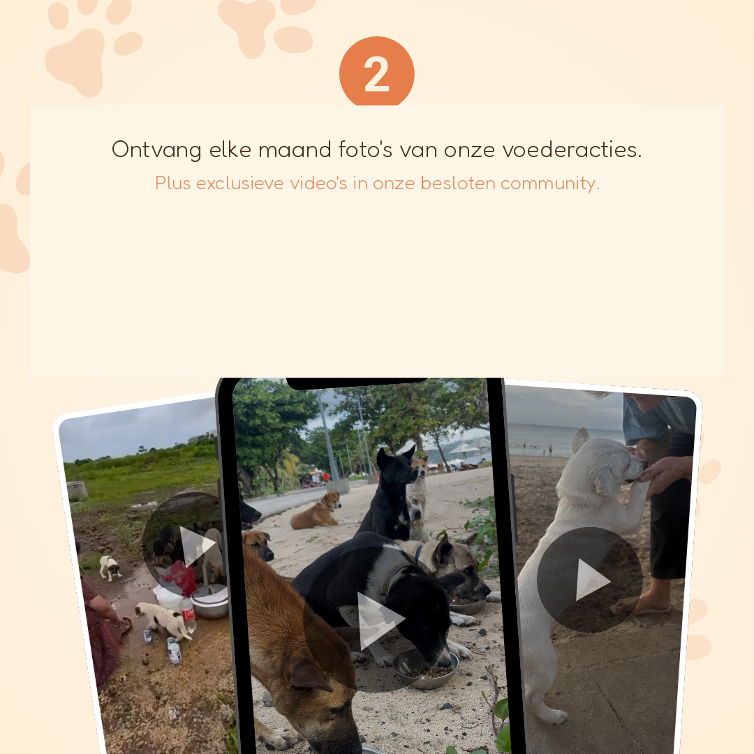 Le Monthly Paws Club