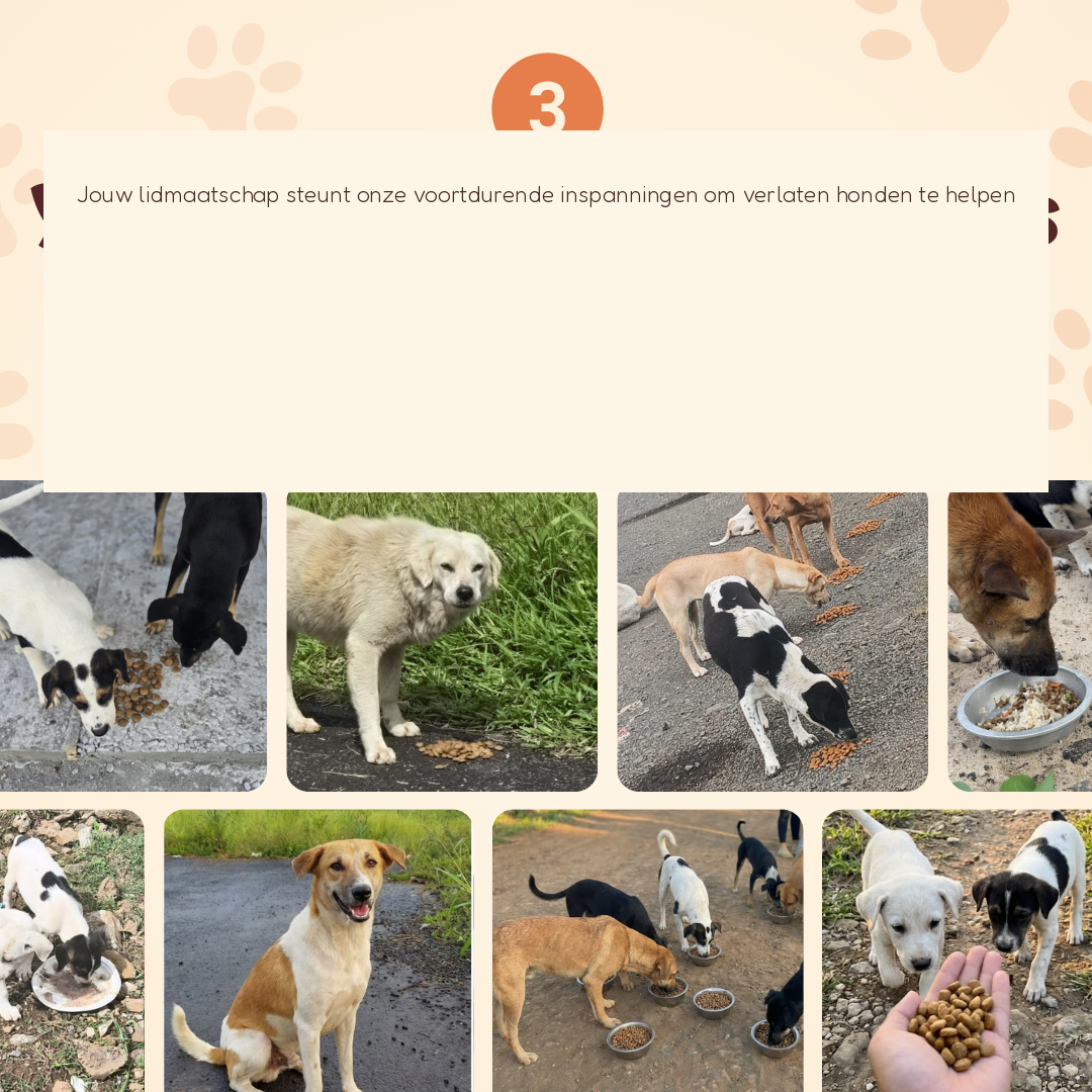 Le Monthly Paws Club