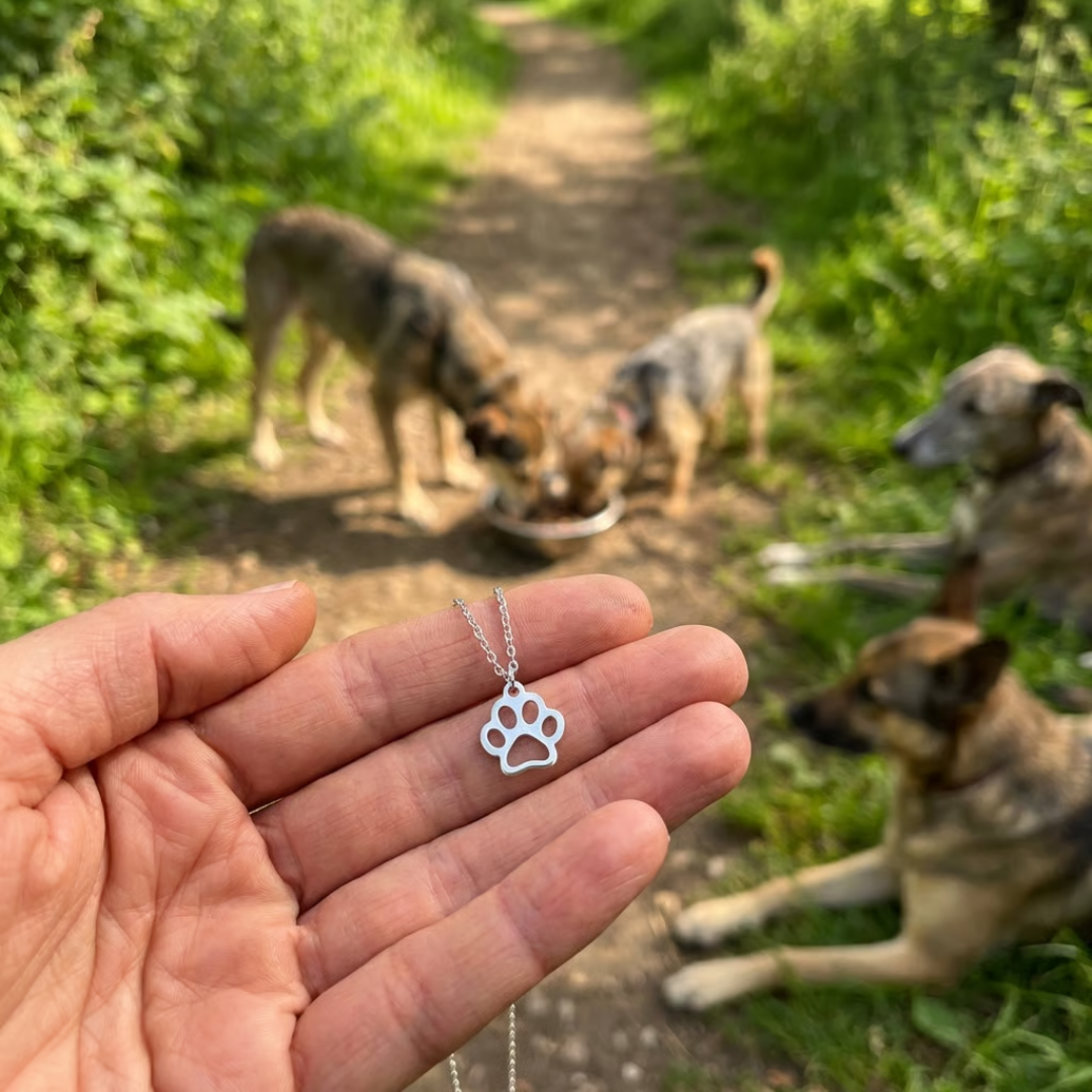 Collier Grace