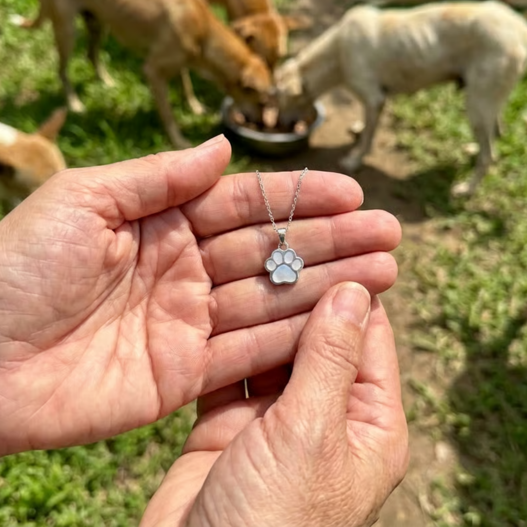 Collier Gentle Paw