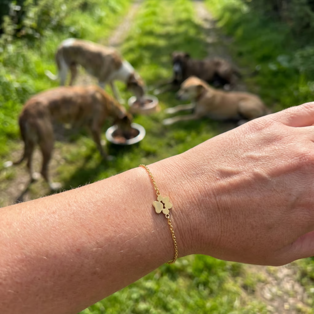 Bracelet Amoria