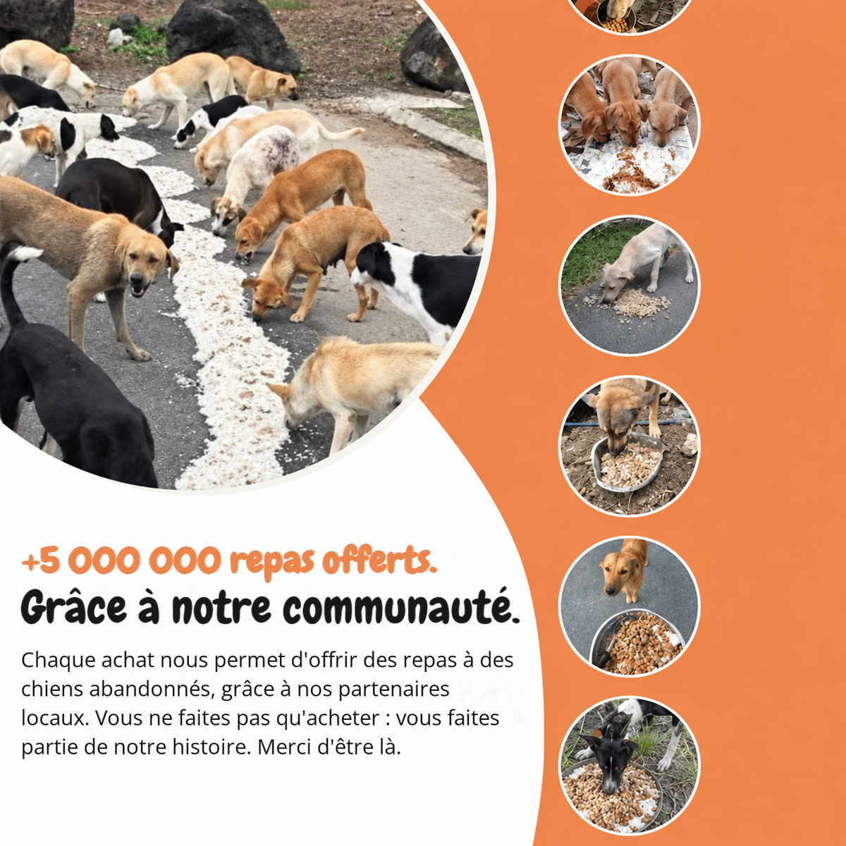 5 millions de repas