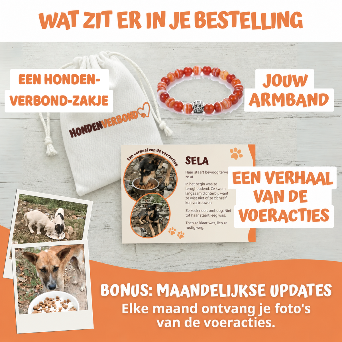Wat zit er in je bestelling