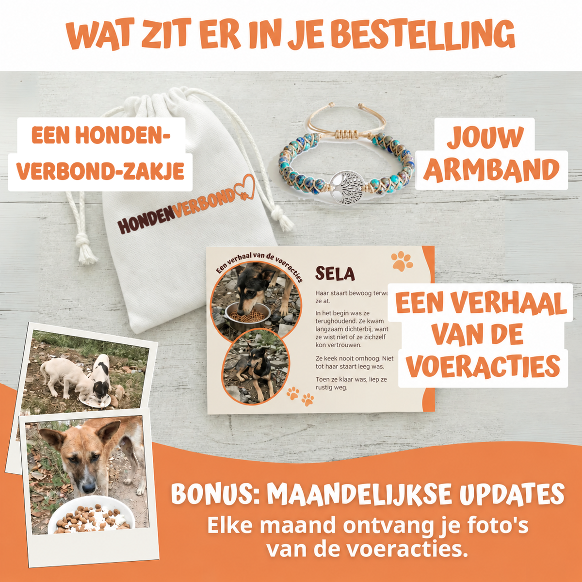 Wat zit er in je bestelling
