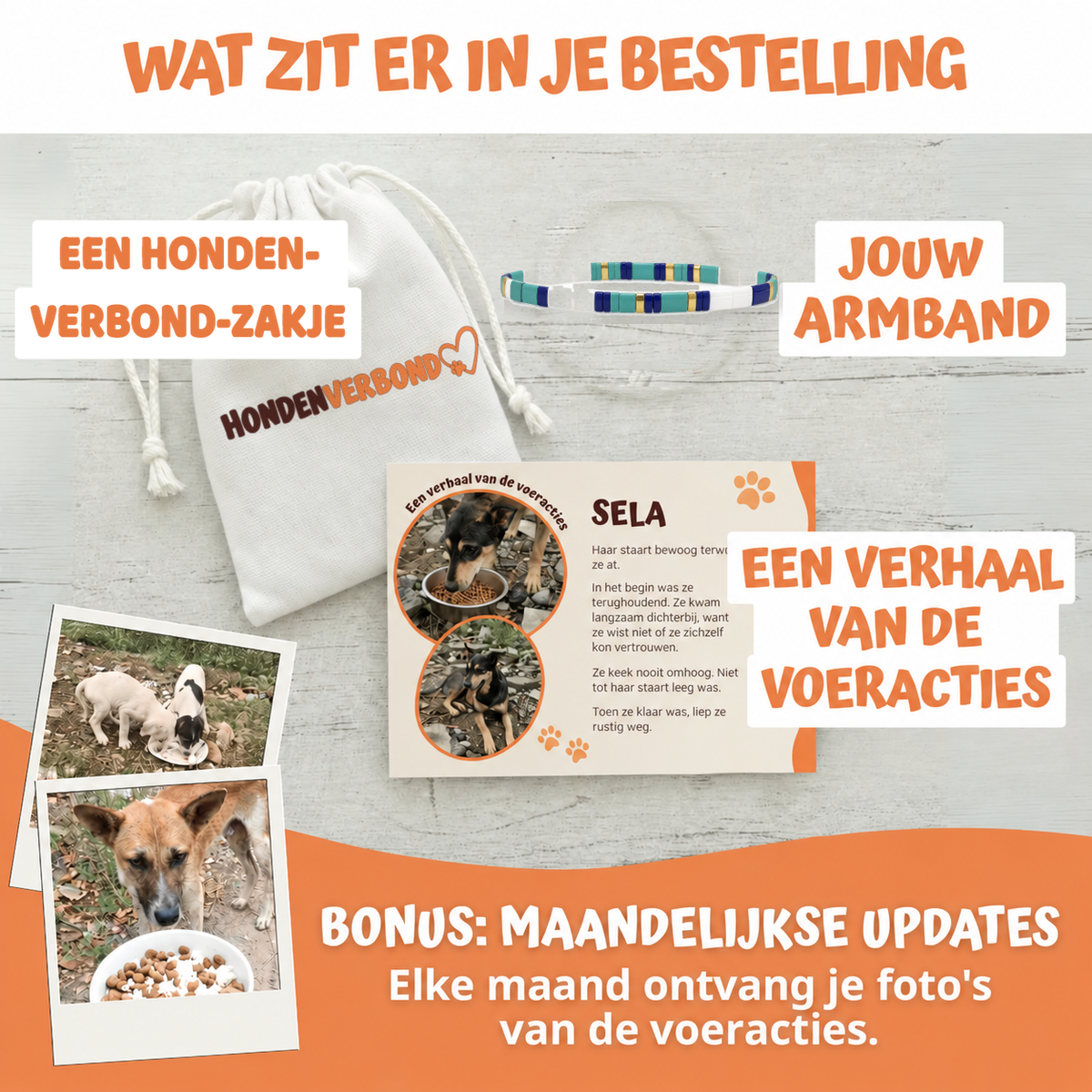 Wat zit er in je bestelling