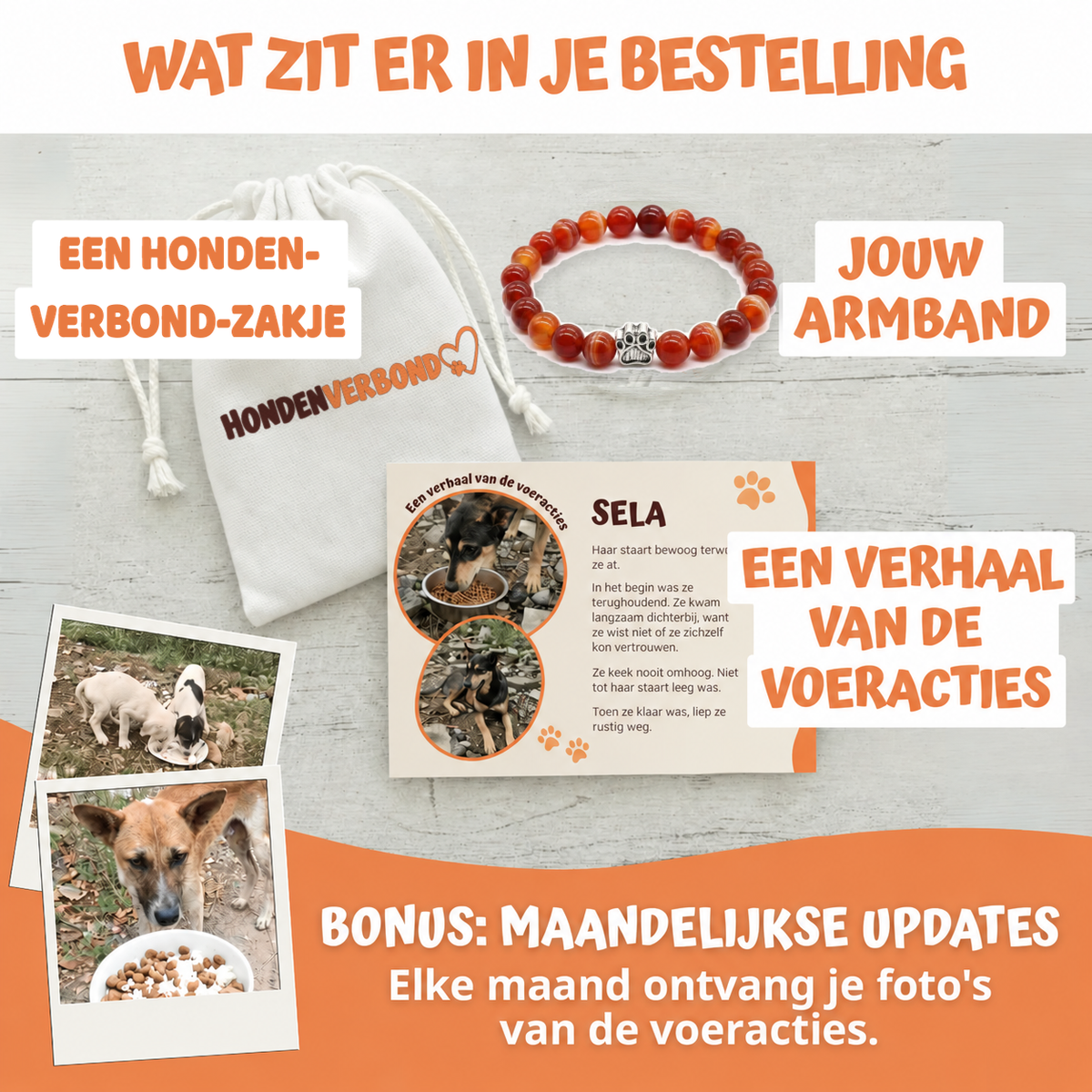 Wat zit er in je bestelling
