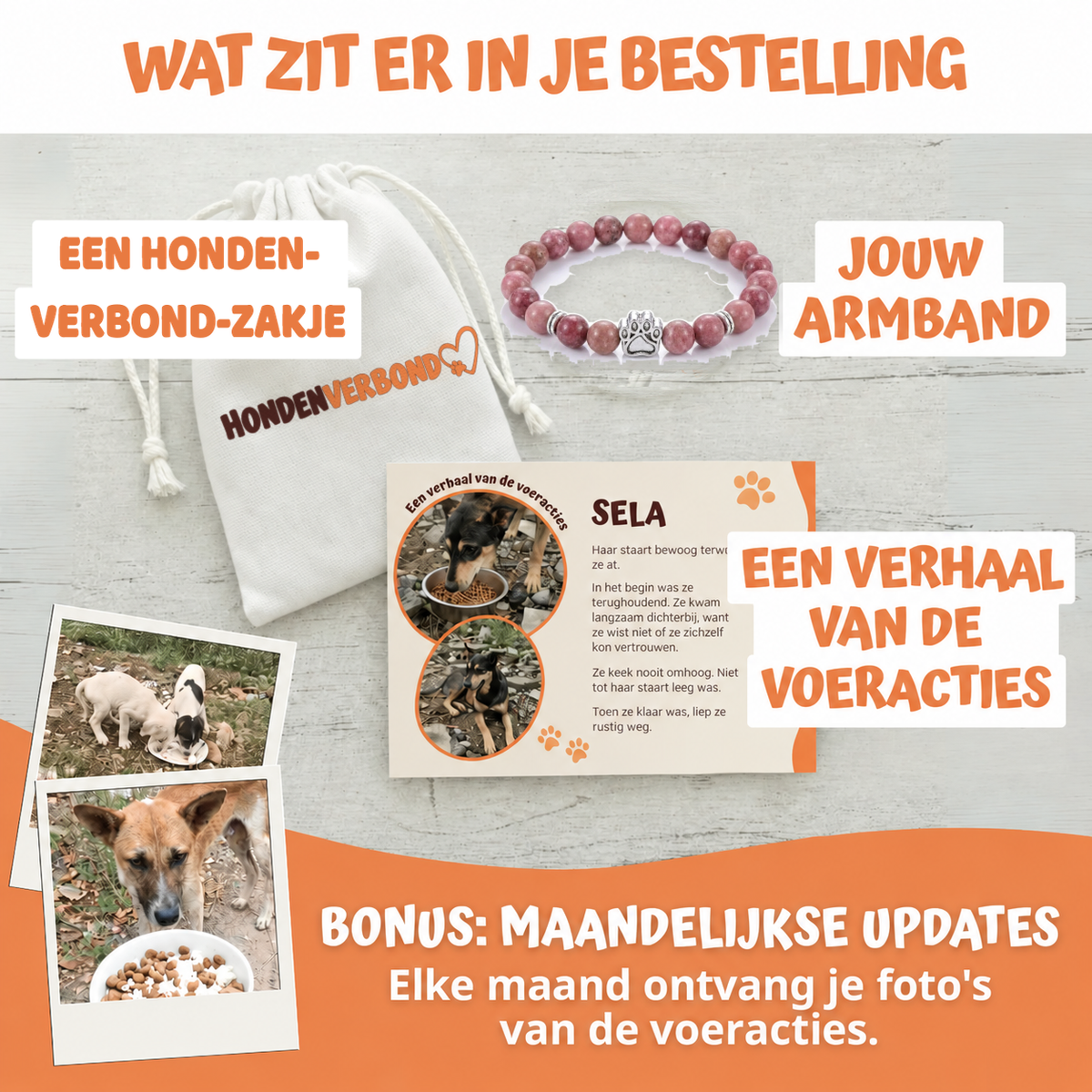 Wat zit er in je bestelling