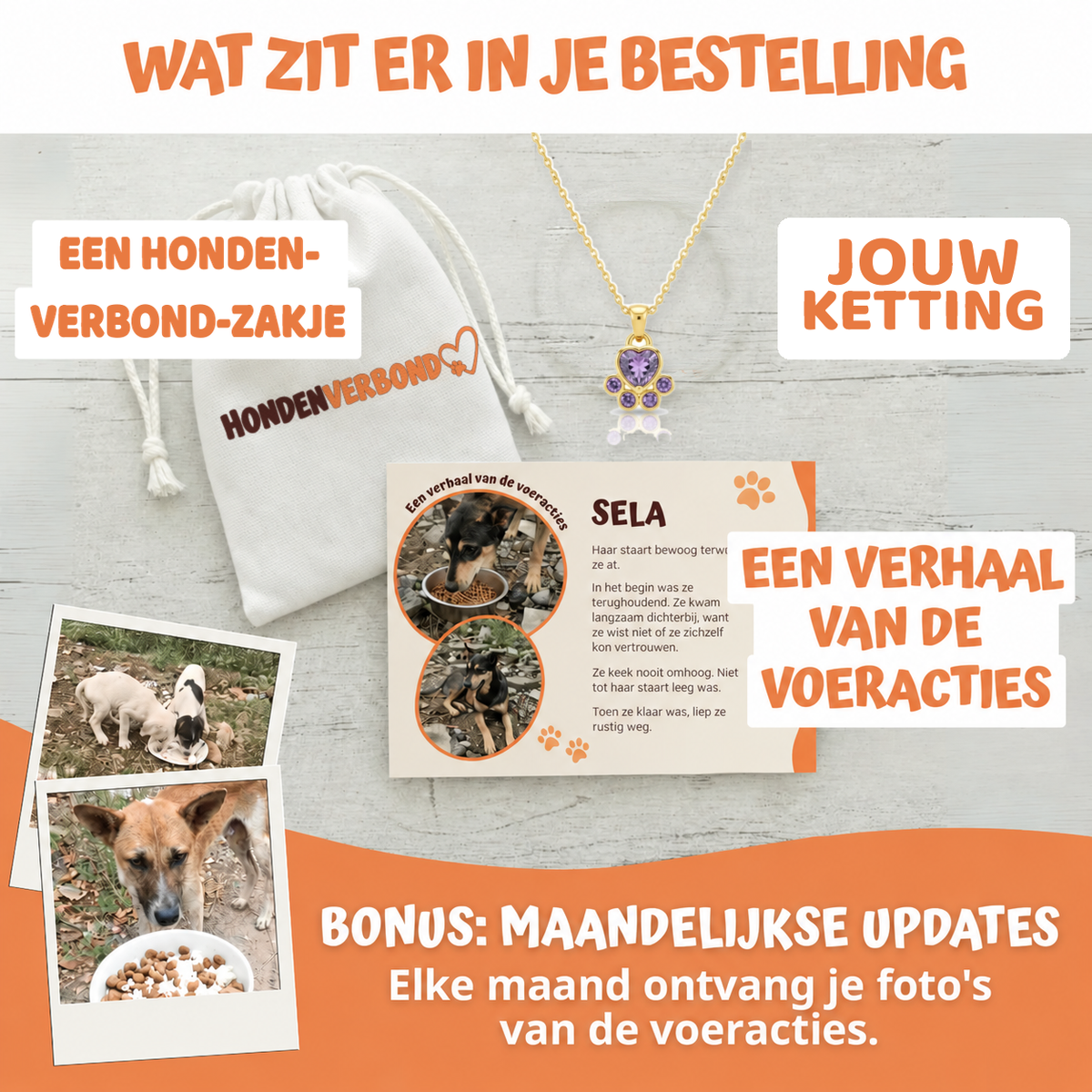 Wat zit er in je bestelling