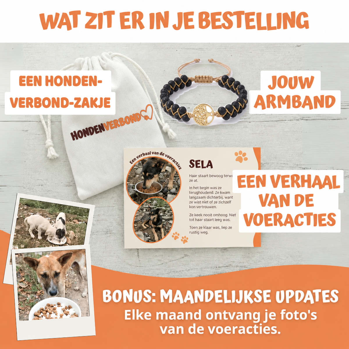 Wat zit er in je bestelling
