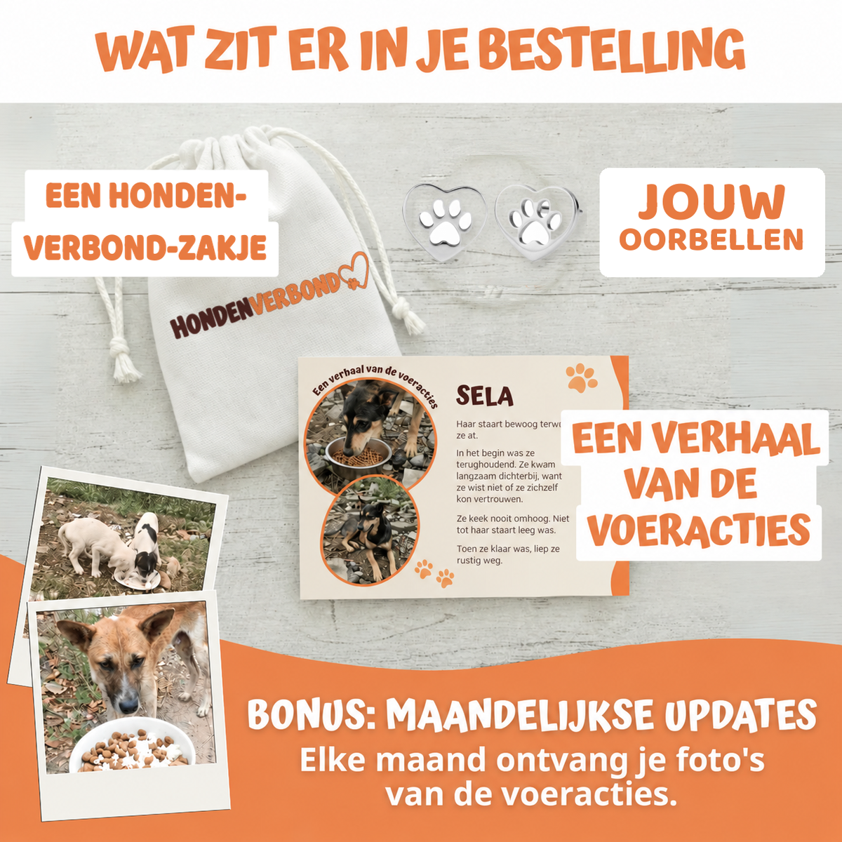Wat zit er in je bestelling