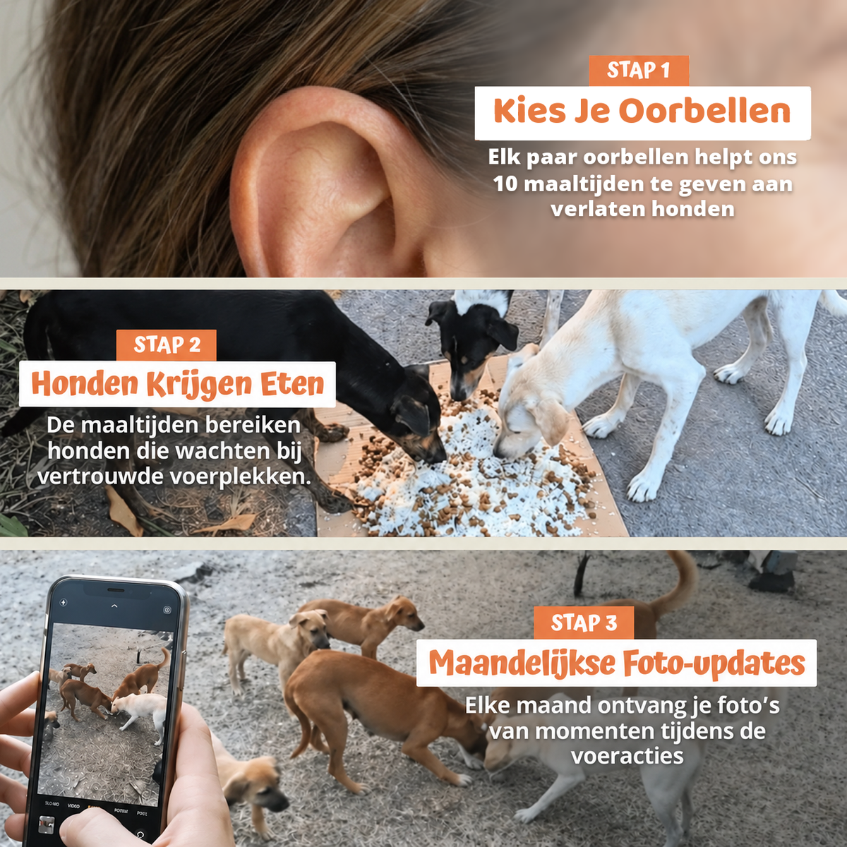 In drie stappen