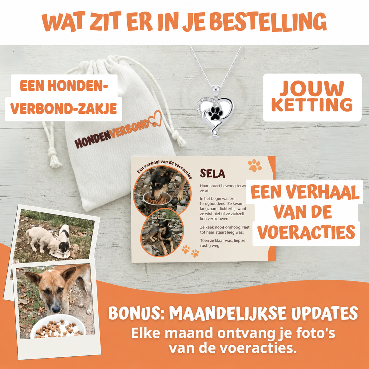 Wat zit er in je bestelling
