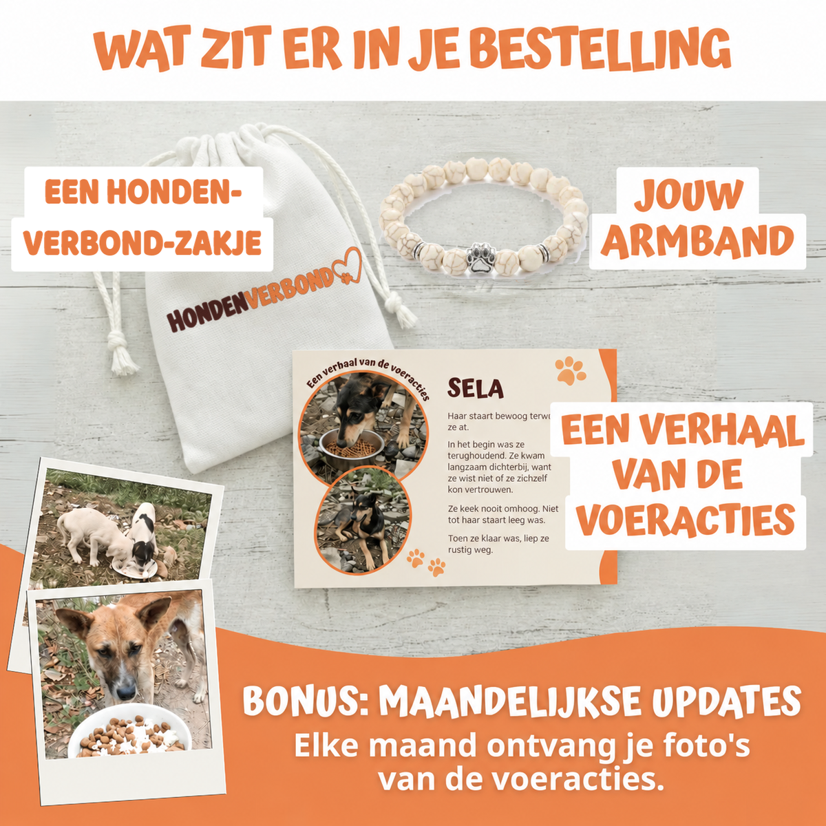 Wat zit er in je bestelling