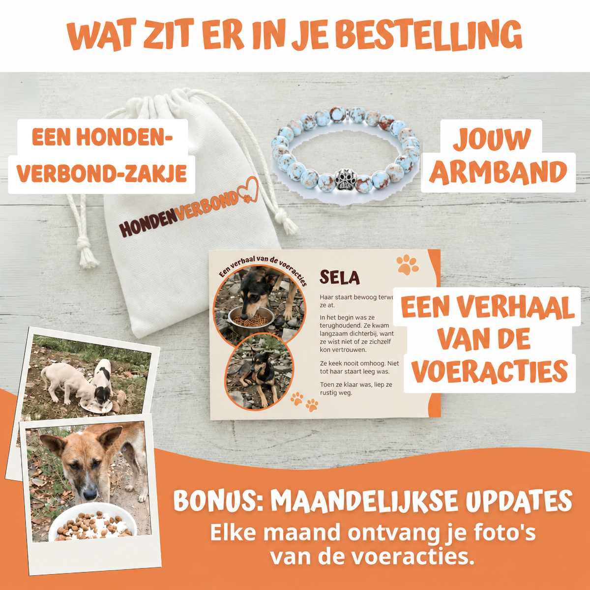 Wat zit er in je bestelling