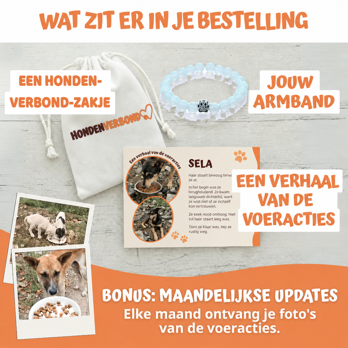 Wat zit er in je bestelling