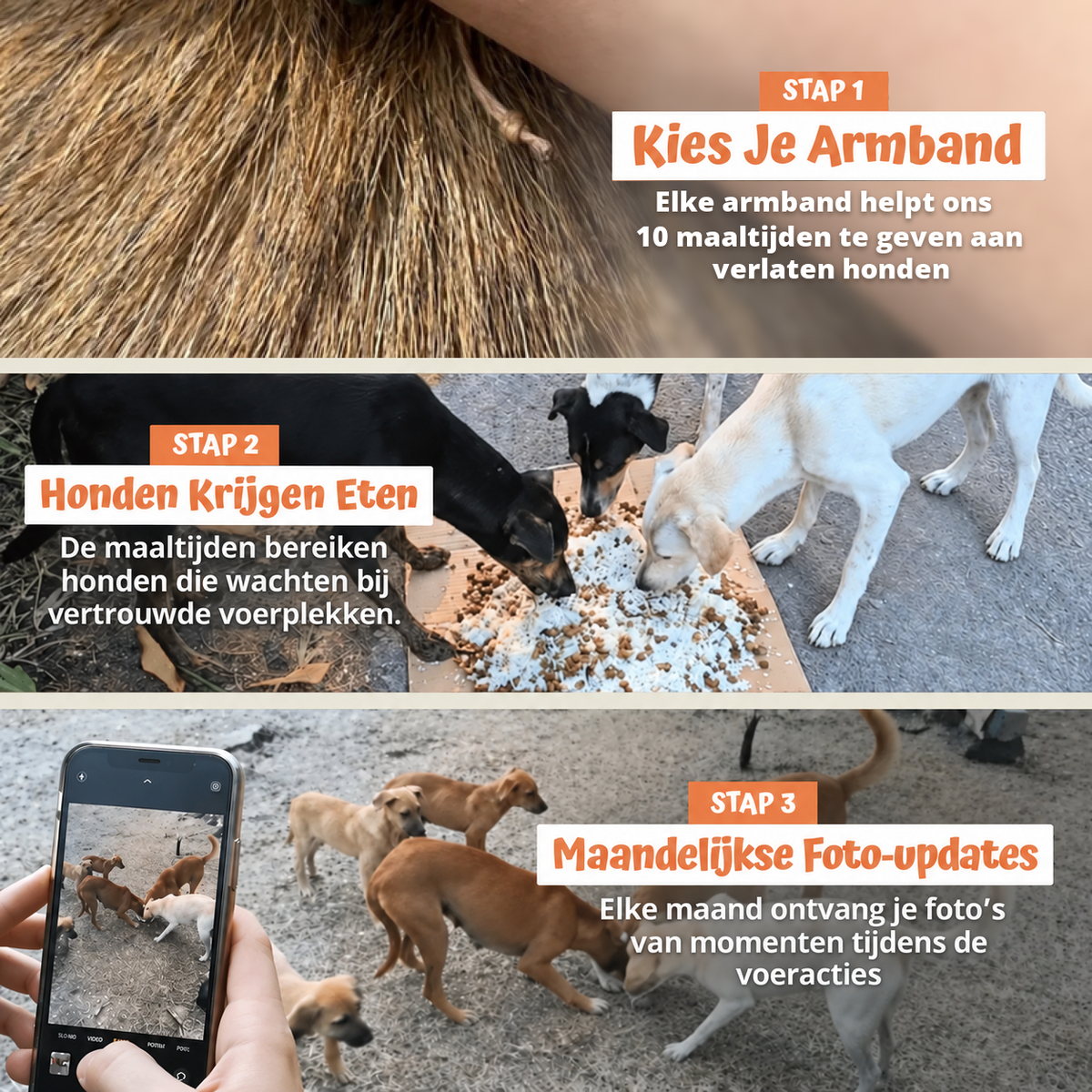 In drie stappen