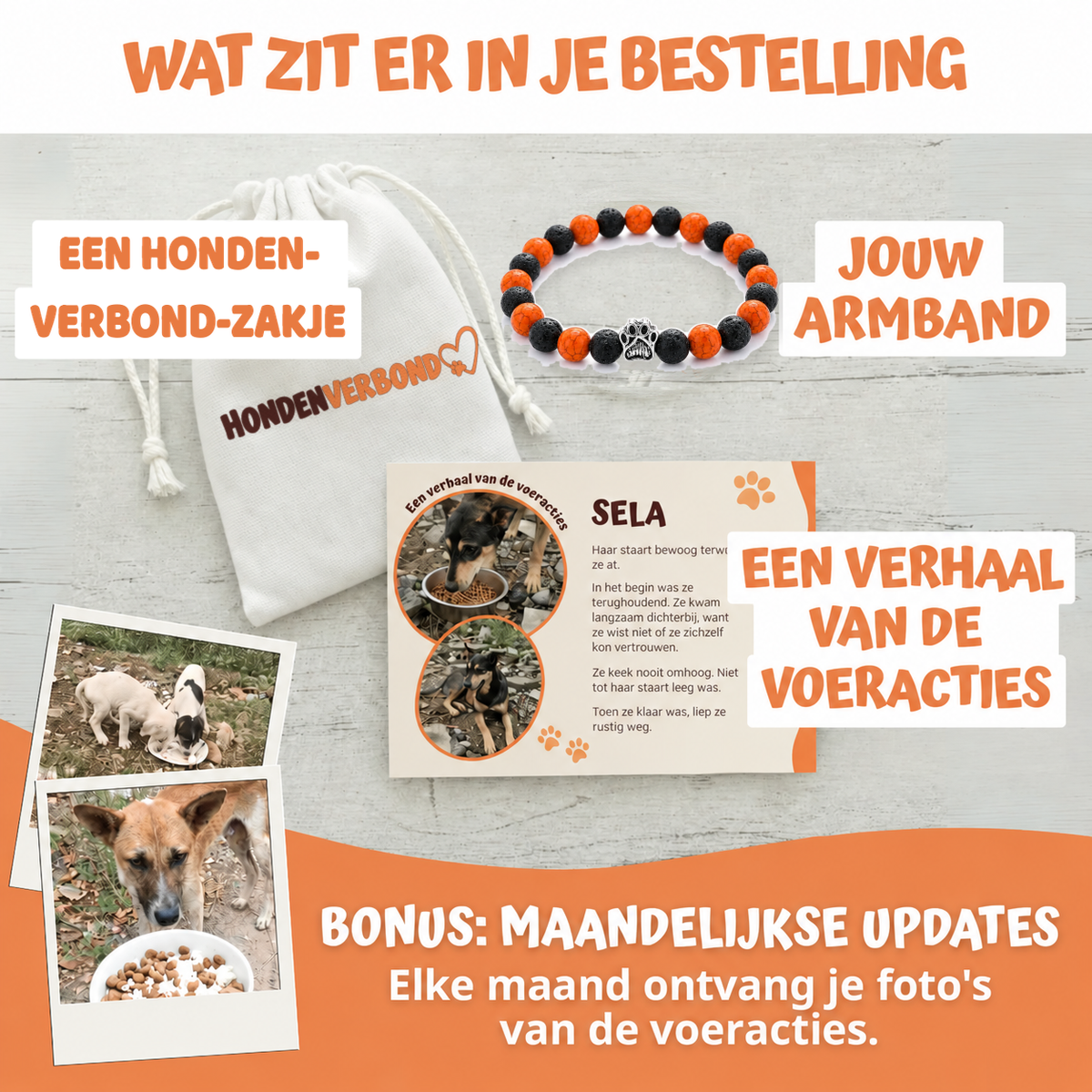 Wat zit er in je bestelling
