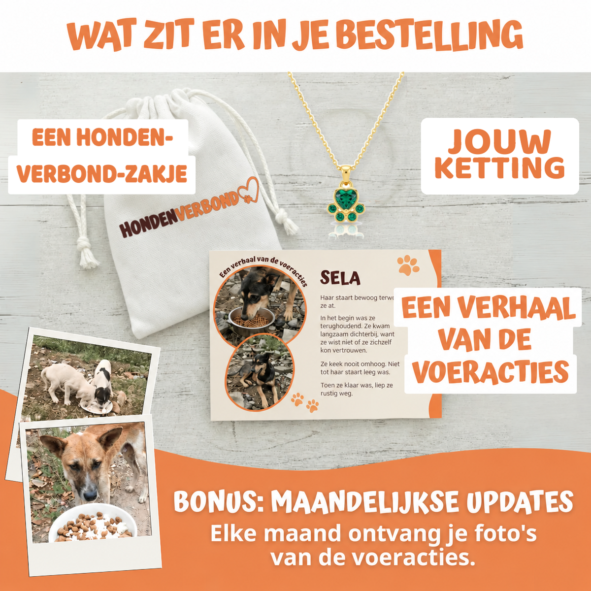 Wat zit er in je bestelling