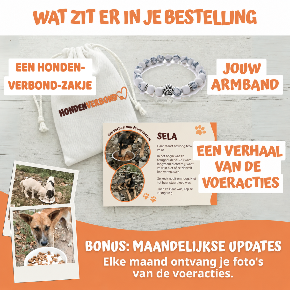 Wat zit er in je bestelling