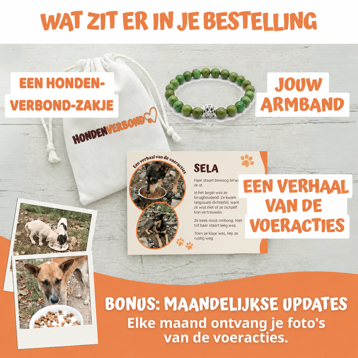 Wat zit er in je bestelling