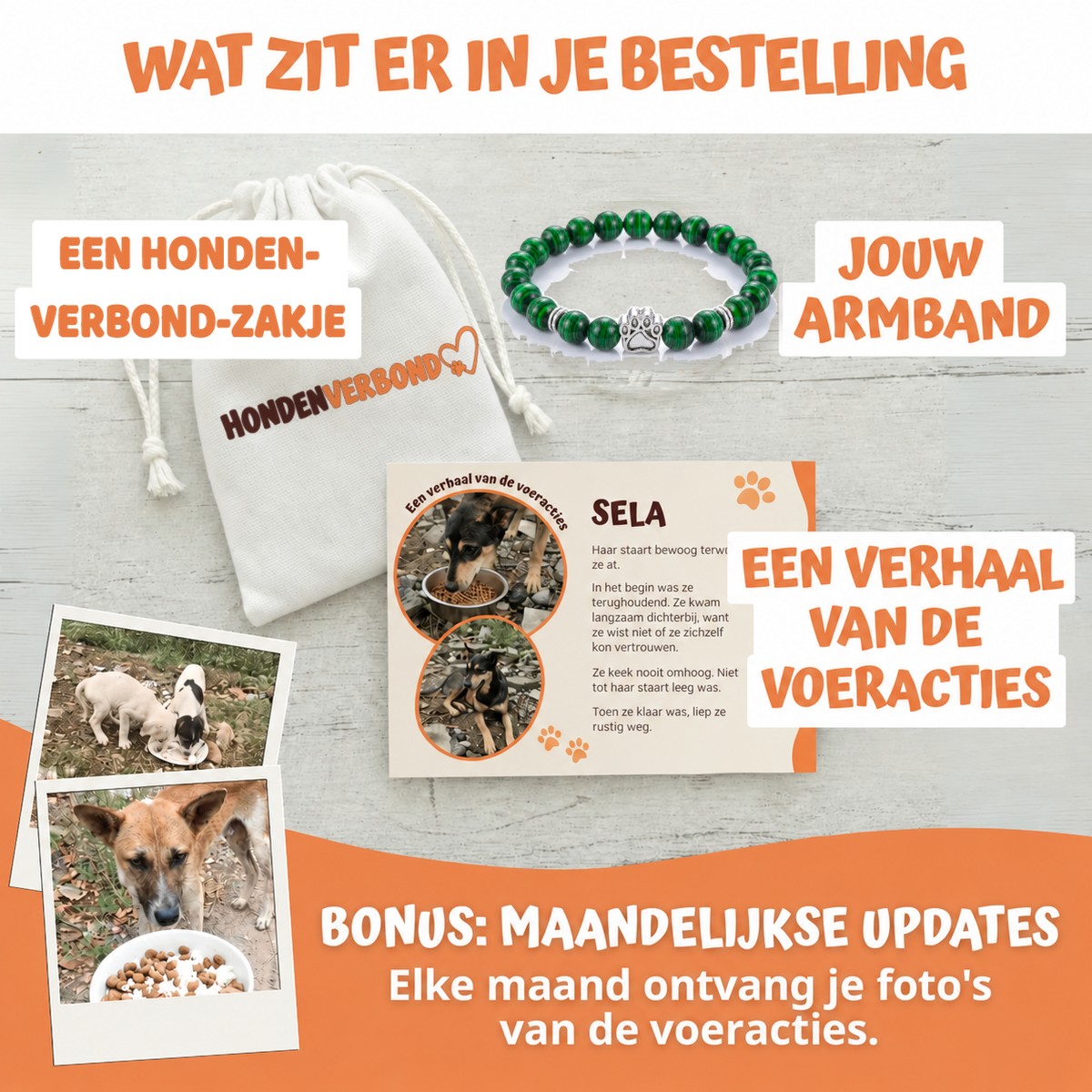 Wat zit er in je bestelling